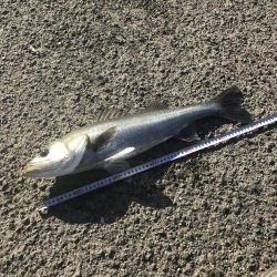 竿納めできます^_^