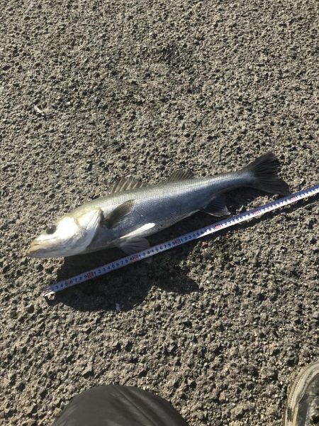 竿納めできます^_^