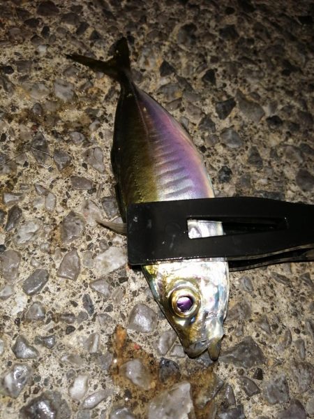 たまにはこんな日も