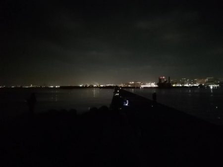 マイワシ湧いてます。タチウオは厳しい～