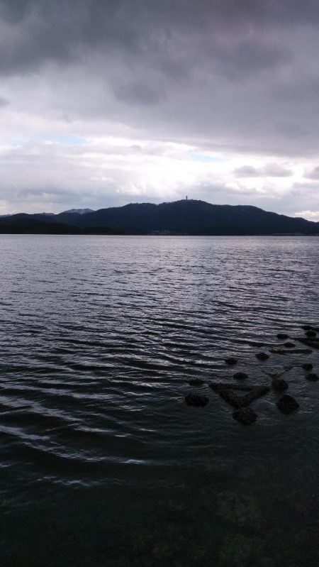 白杉サゴシ続報