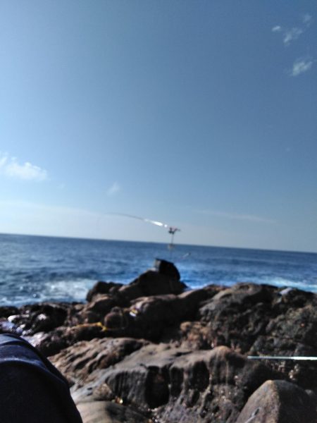 フカセ‥最高ですネ・・