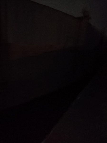 2日連続スズキ釣りへ