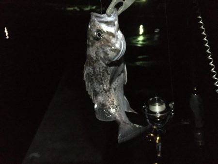 青森の冬といえば