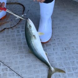 夫婦でジギング@白鶴丸