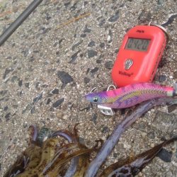 3回連続第1投目ヒット~⤴️