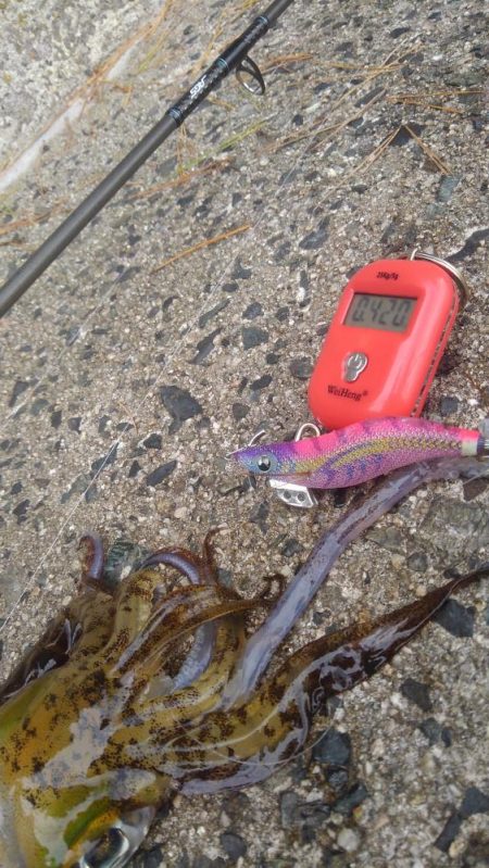 3回連続第1投目ヒット~⤴️