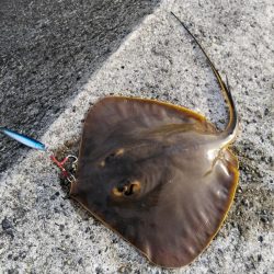 なんでやねん！