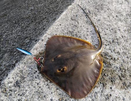 なんでやねん！