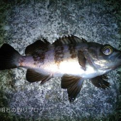 釣り納め
