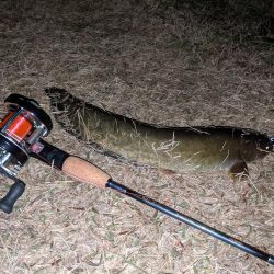 行けばわかるさ