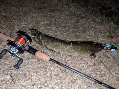 行けばわかるさ