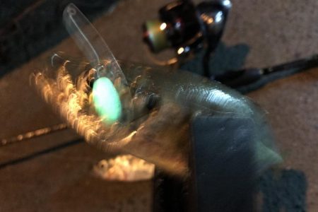 半ばあきらめぎみのタチウオ狙い