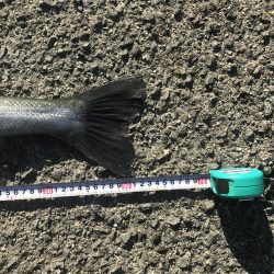 竿納めできます^_^