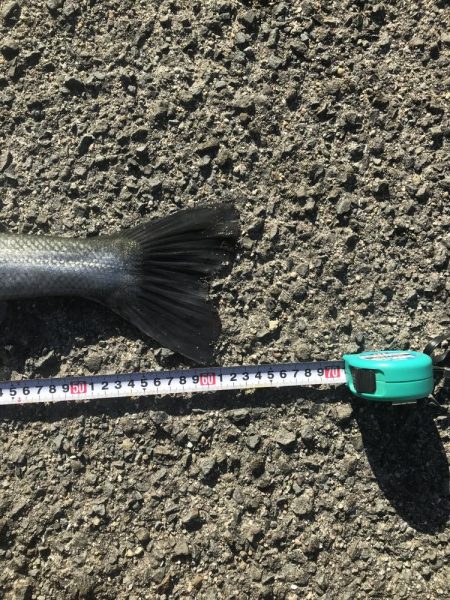 竿納めできます^_^