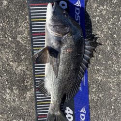 イチノ兄弟、釣果！