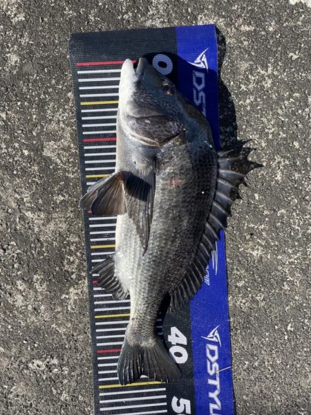 イチノ兄弟、釣果！