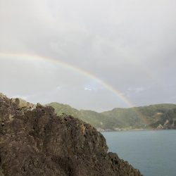 フカセ釣りの合間に