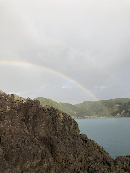 フカセ釣りの合間に