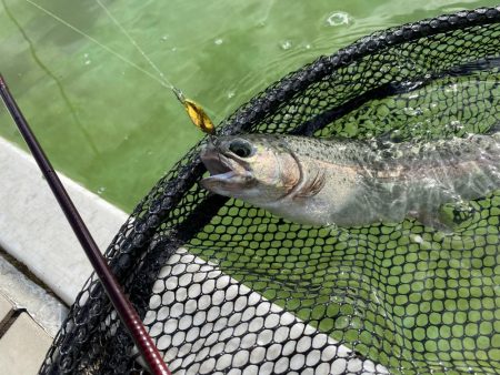 かめプー　本年最終日