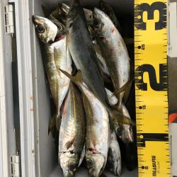 一人ぼっち釣行