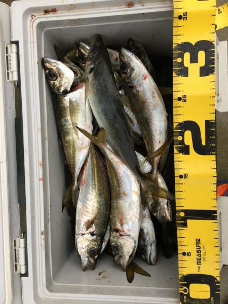 一人ぼっち釣行