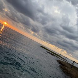 今年最後のエギング