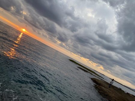 今年最後のエギング