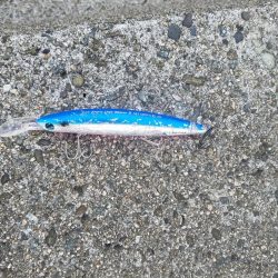 新ポイントに初挑戦!