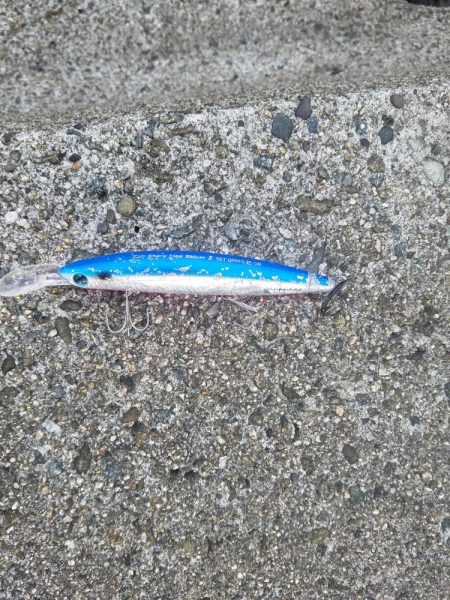 新ポイントに初挑戦!