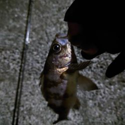 まさかの・・・！！