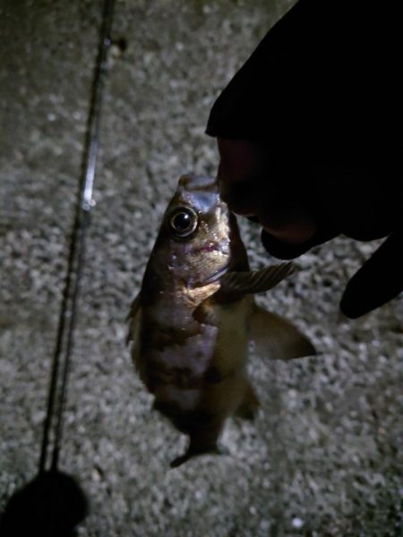 まさかの・・・！！