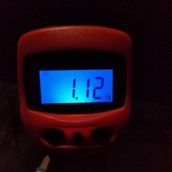 なんとか年内キロアップ！！