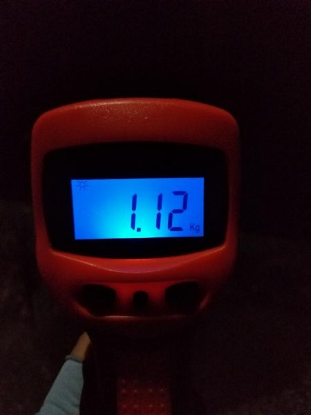 なんとか年内キロアップ！！