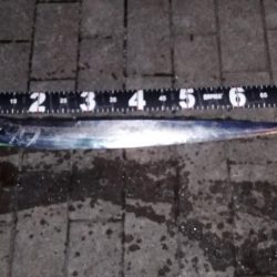 爆風南港タチウオ