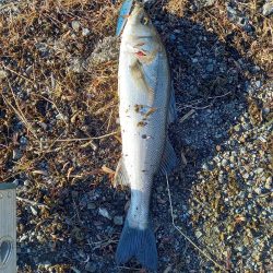 夜勤明けの寄り道で