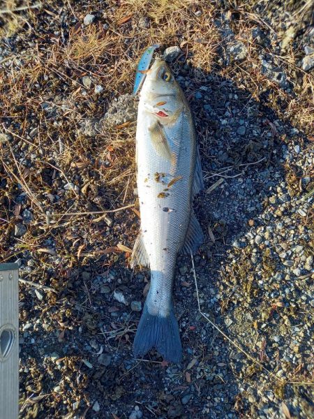 夜勤明けの寄り道で