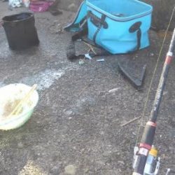 早朝からアジ一択狙いでアミエビブロックおかわり!!