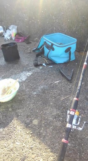 早朝からアジ一択狙いでアミエビブロックおかわり!!