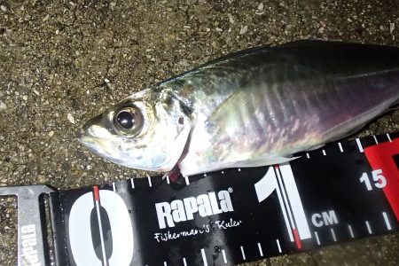 よせばいいのに・・・強風下・・・やらかした…