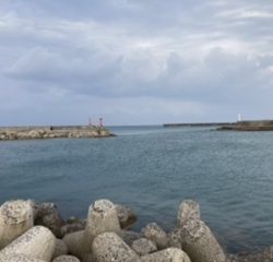 ショアジギング