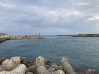 ショアジギング