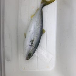 まだまだ続いてました!