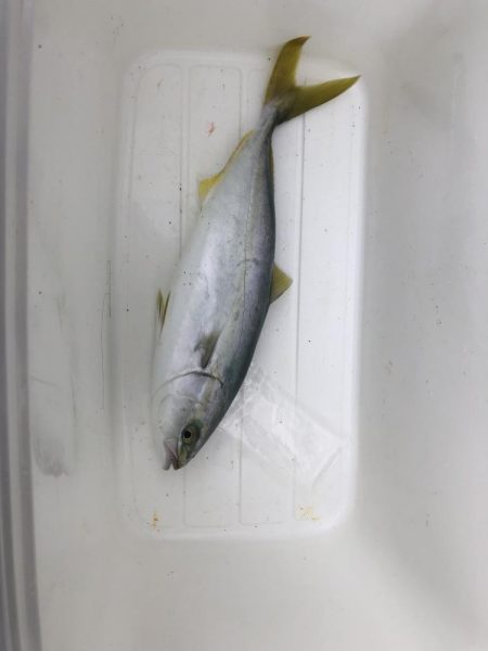 まだまだ続いてました!