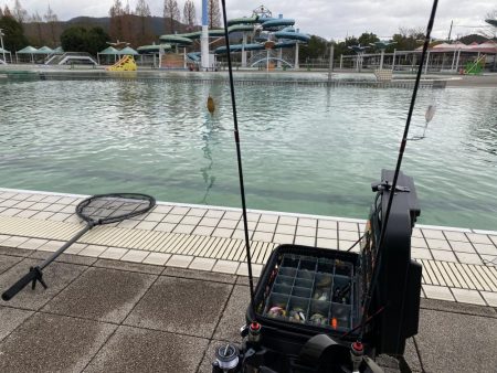 かめプーでエリアトラウト