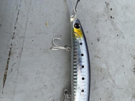 コスモのメジロ