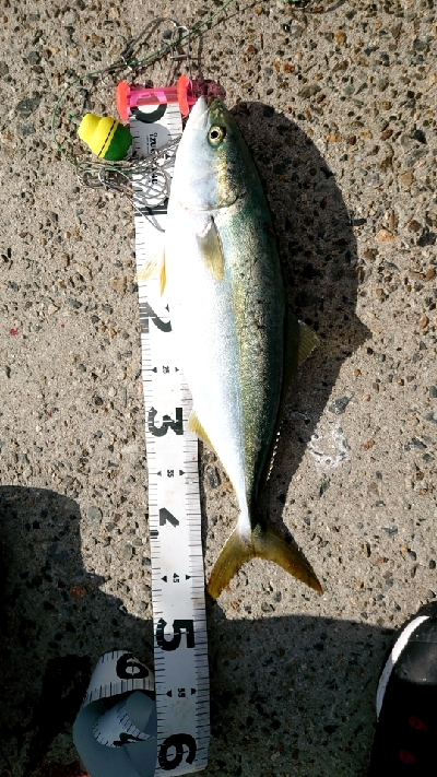 早朝から・・・