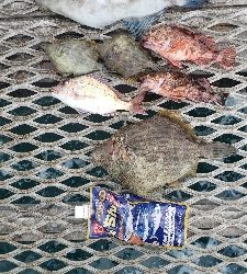 満点の釣り納めになりました❗…