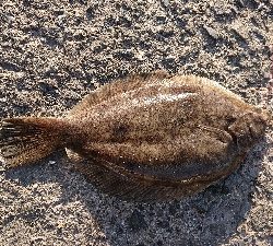 爆風の中・・・