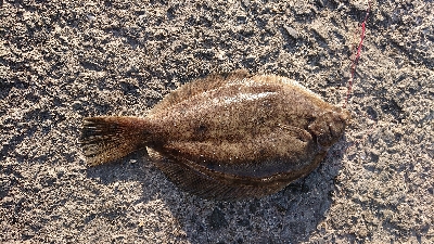 爆風の中・・・